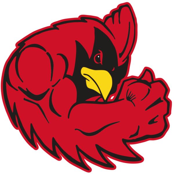 AR CARDINAL 29 RC Thumbnail