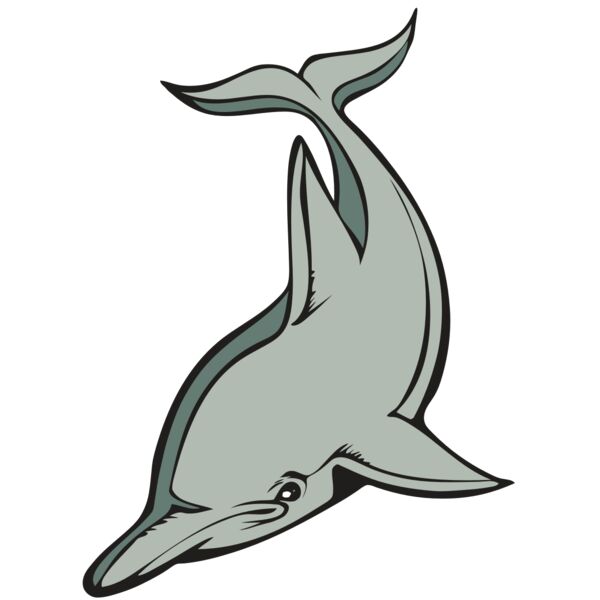 BAW DOLPHIN 01 RC Thumbnail