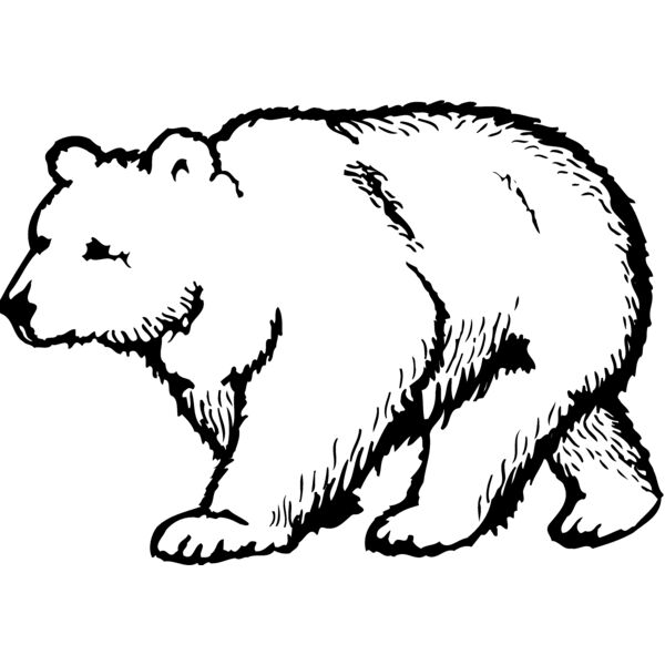 BEAR017 Thumbnail